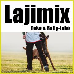 Lajimix | Toko & Rally-toko