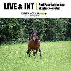 LIVE & INT: Sari Paavilainen | Yksityiskoulutus | hevoset