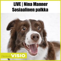 Nina Manner | Sosiaalinen palkka ja palkkaamattomuus