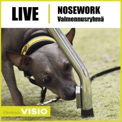 LIVE | Nosework | Valmennusryhmä