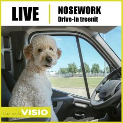 Nosework | Drive in -treenit