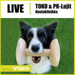 LIVE | Noutoklinikka