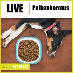 LIVE | Palkankorotus