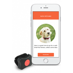 PitPat Activity Monitor - Koiran aktiivisuusseurantalaite