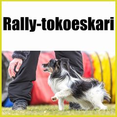 Rally-tokoeskari