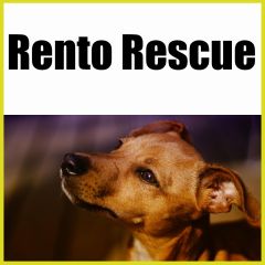 Rento Rescue