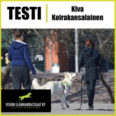 TESTI | Kiva Koirakansalainen